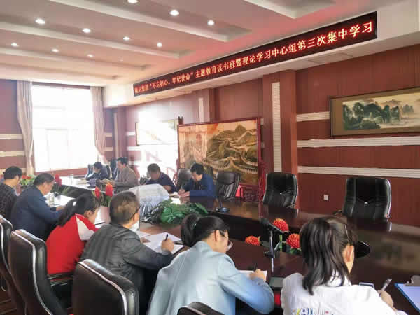 隴運集團(tuán)公司召開“不忘初心、牢記使命”主題教育讀書班暨理論學(xué)習(xí)中心組第三次、第四次集中學(xué)習(xí)會議